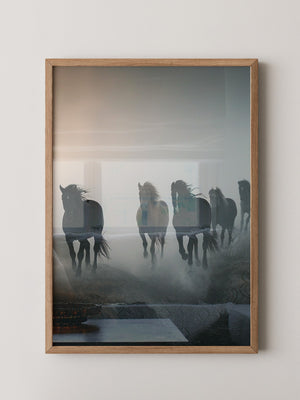 Pferde Galopp Nebelstimmung