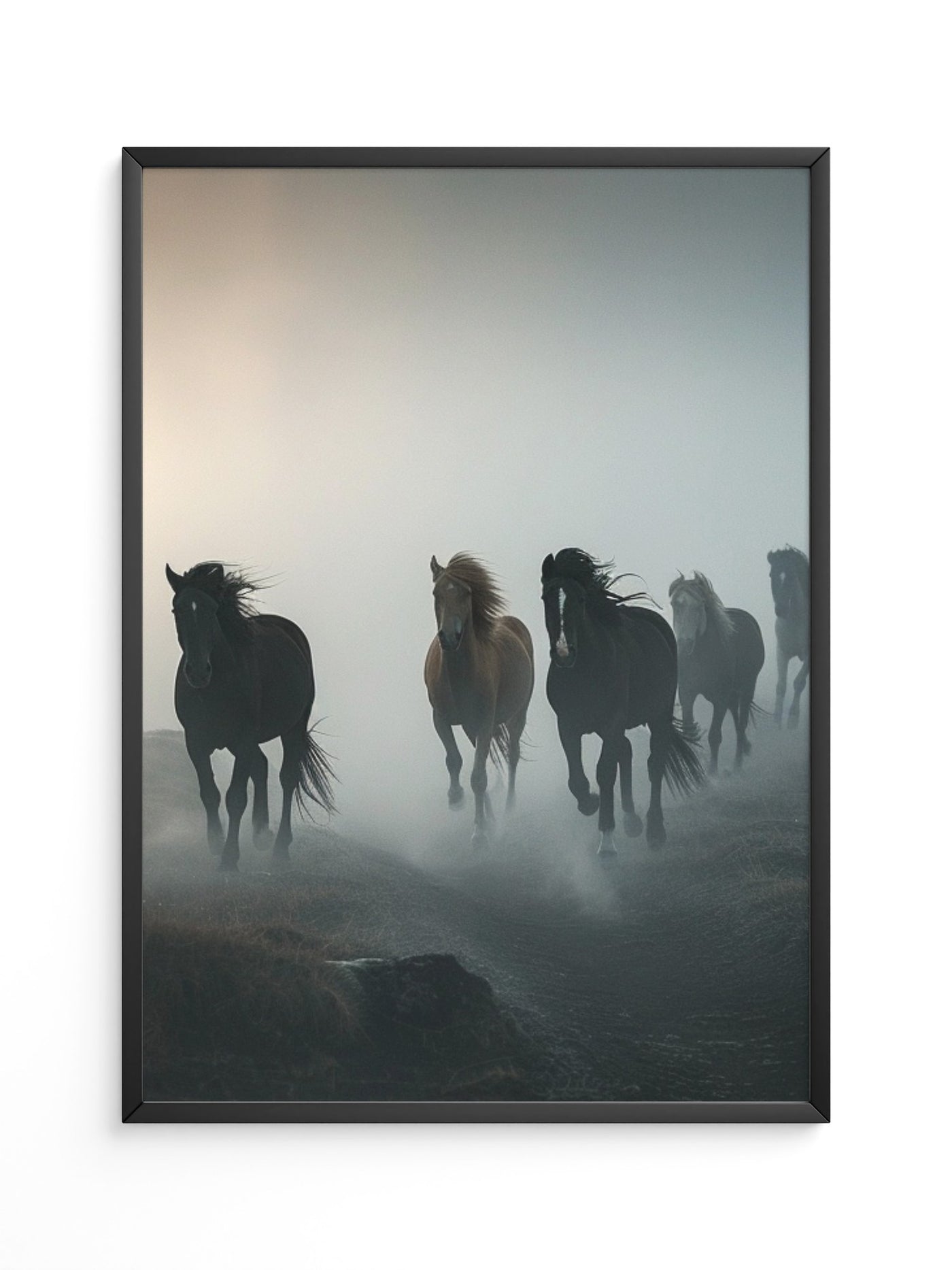 Pferde Galopp Nebelstimmung