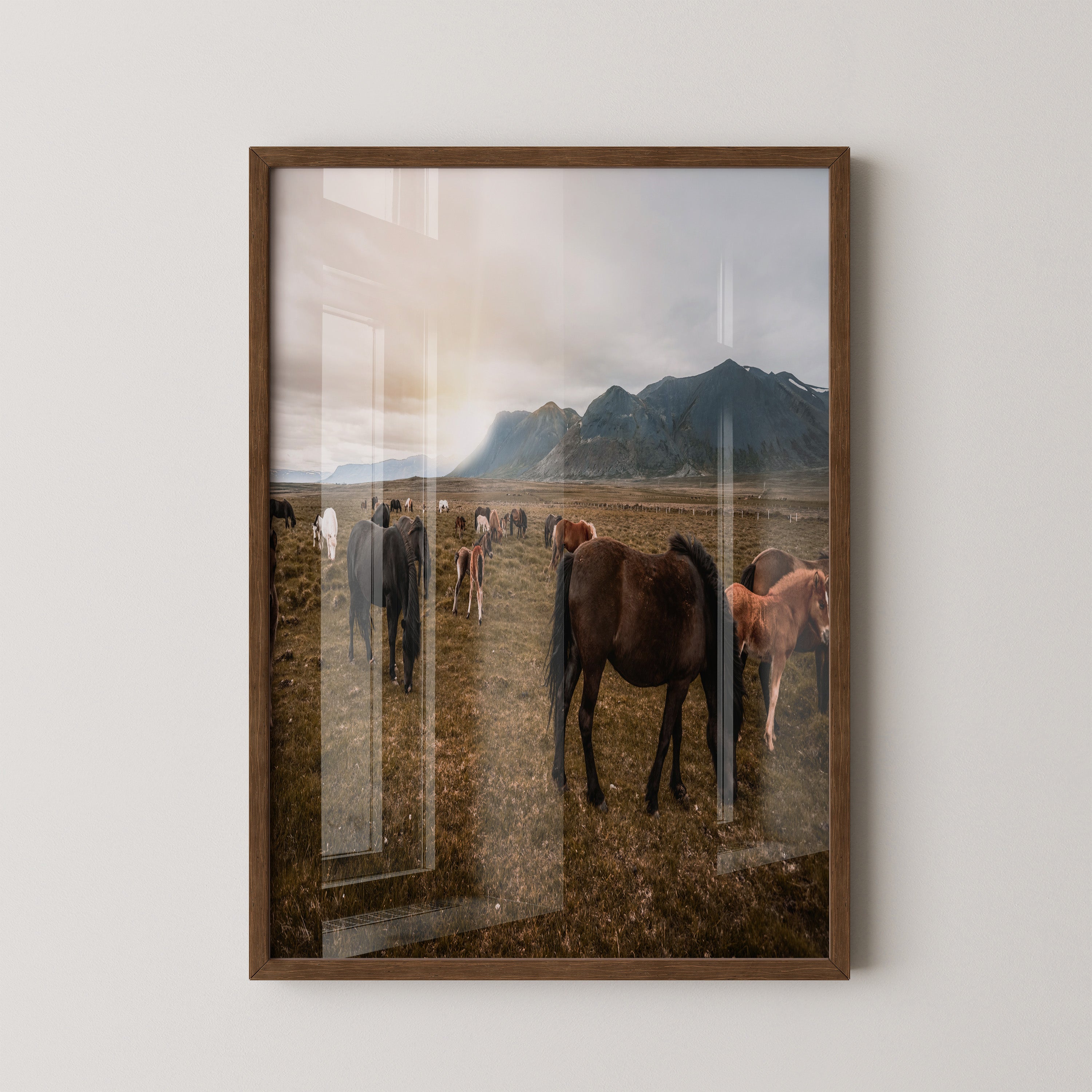 Islandpferde Weite Sonnenuntergang