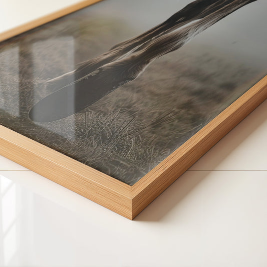 Pferdehufe Nebelstimmung