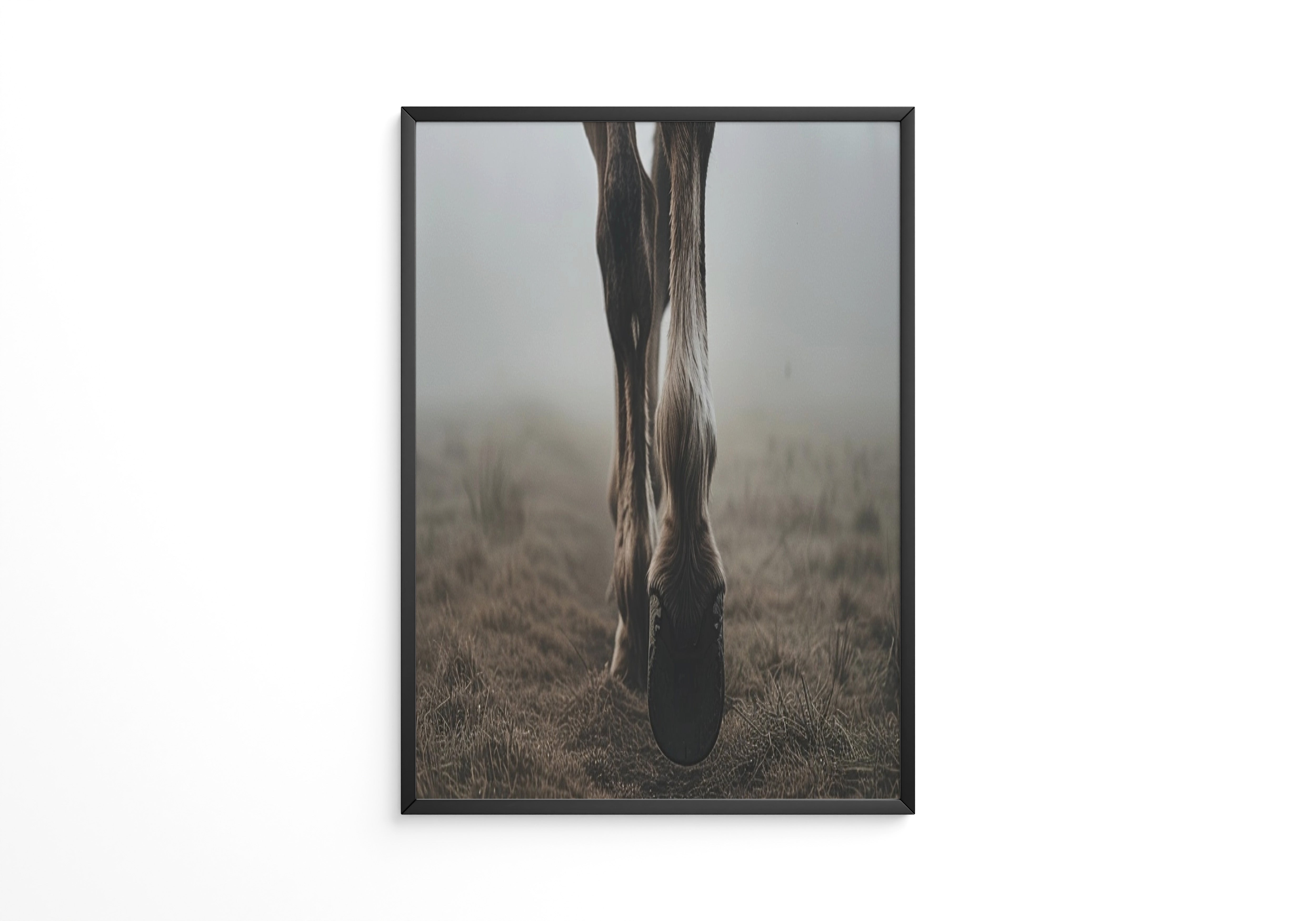 Pferdehufe Nebelstimmung