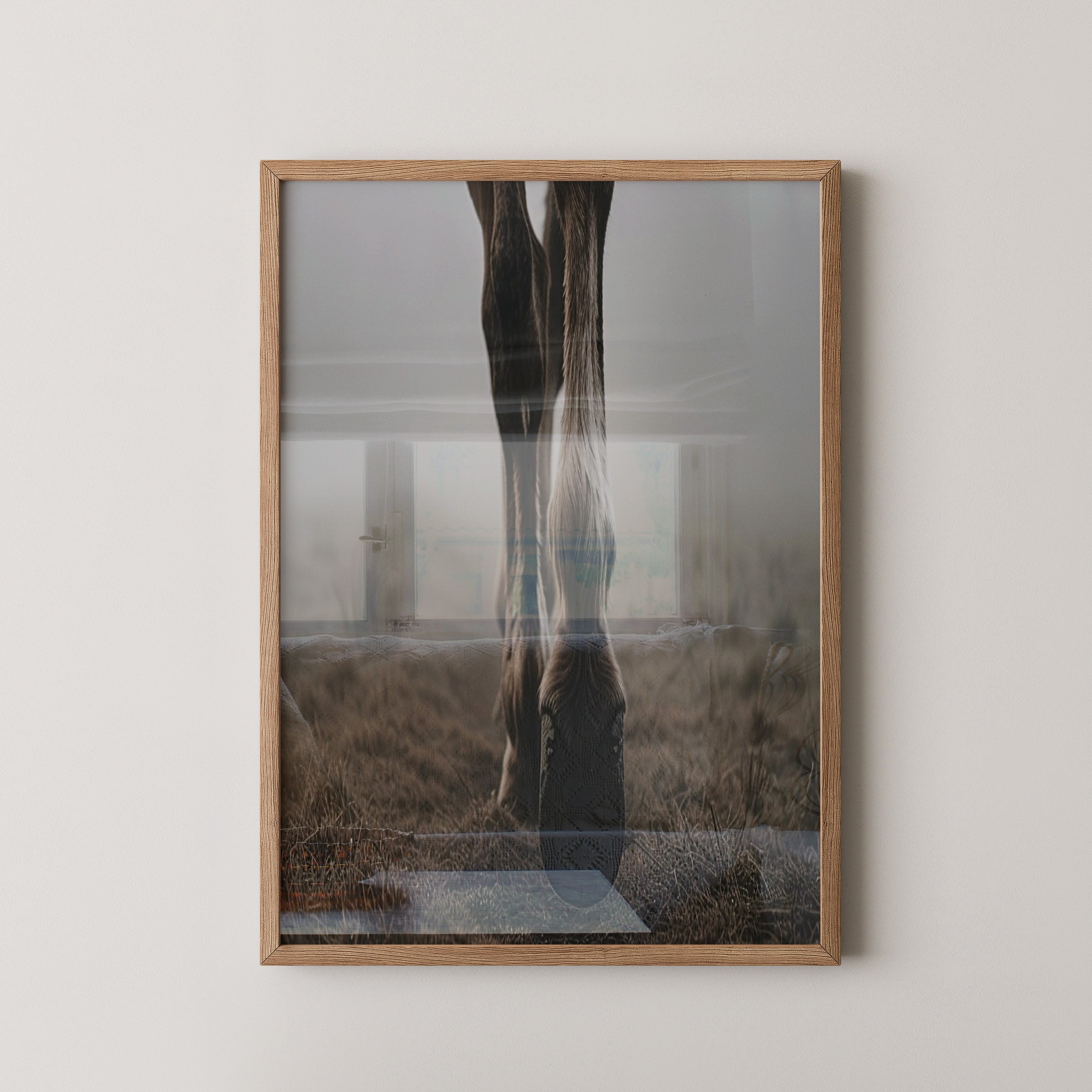 Pferdehufe Nebelstimmung