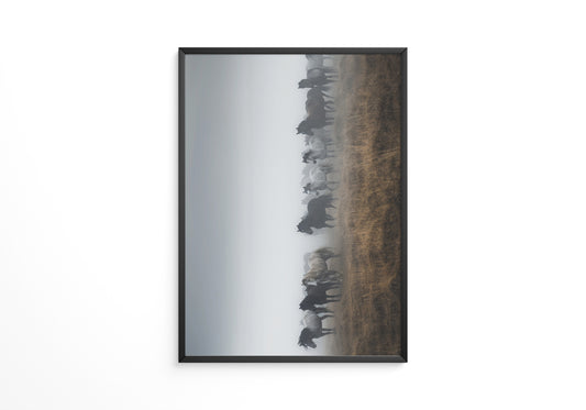 Wildpferde Nebelpanorama