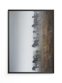 Wildpferde Nebelpanorama