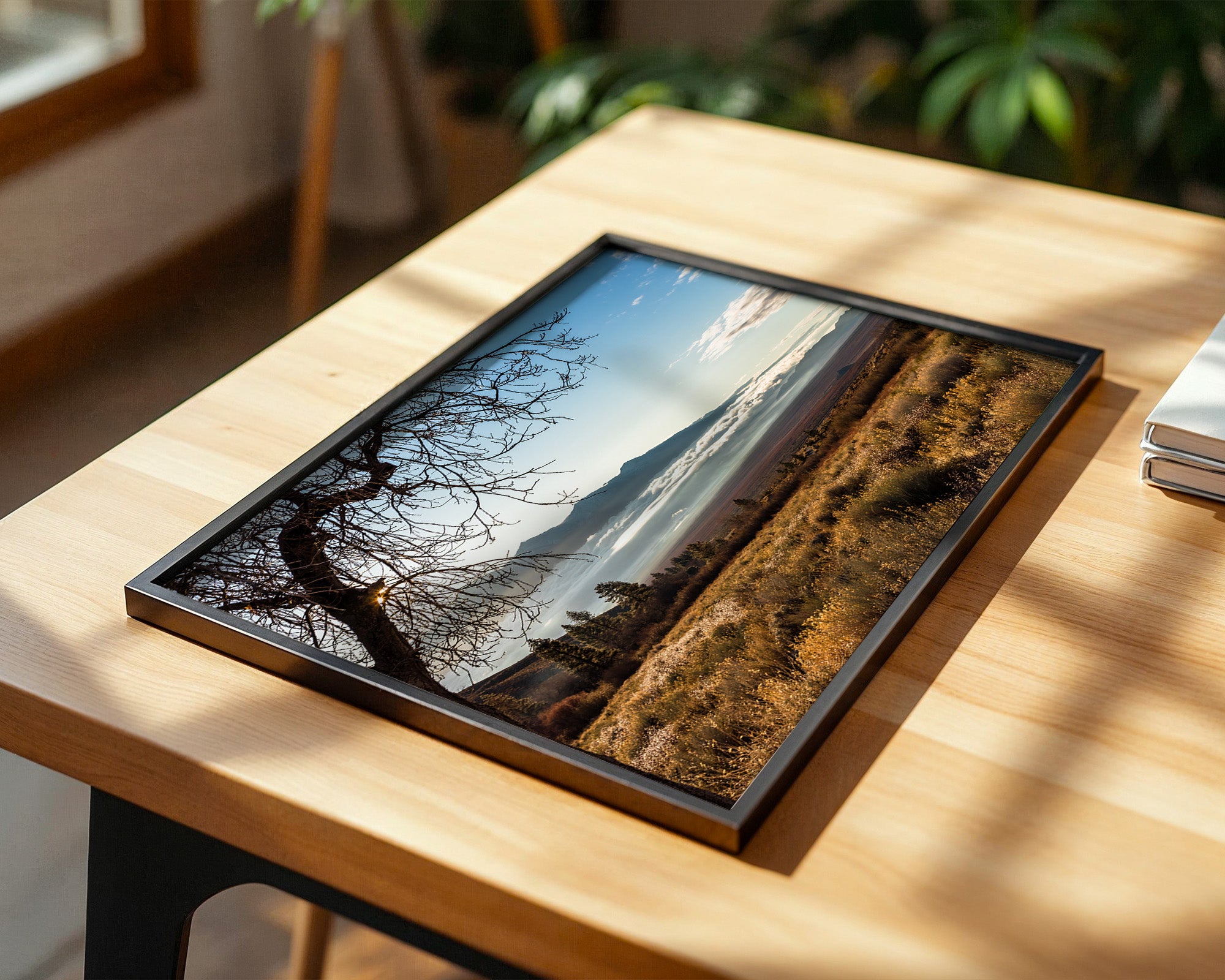 Winterbaum Berglandschaft Goldlicht