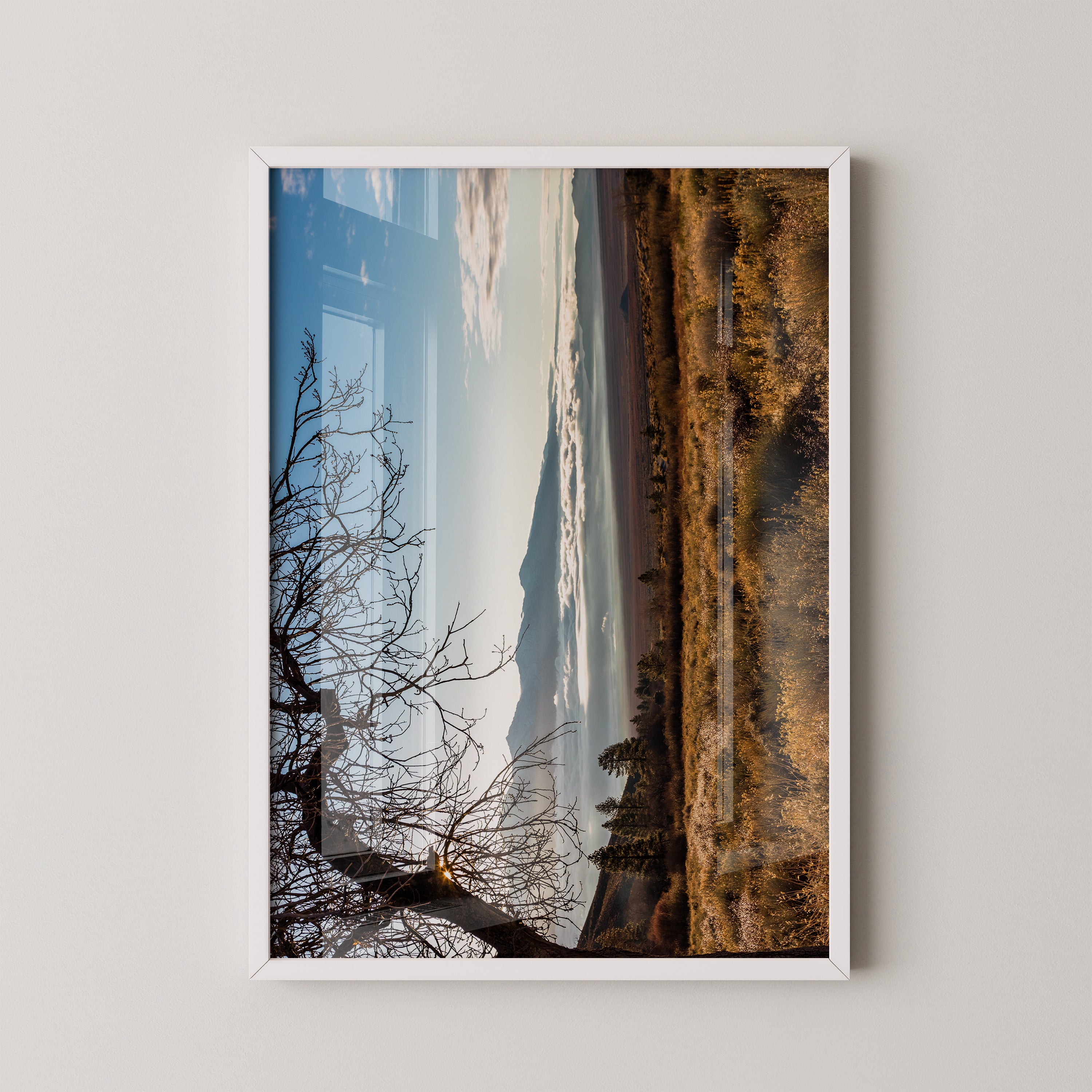 Winterbaum Berglandschaft Goldlicht