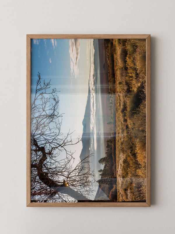 Winterbaum Berglandschaft Goldlicht