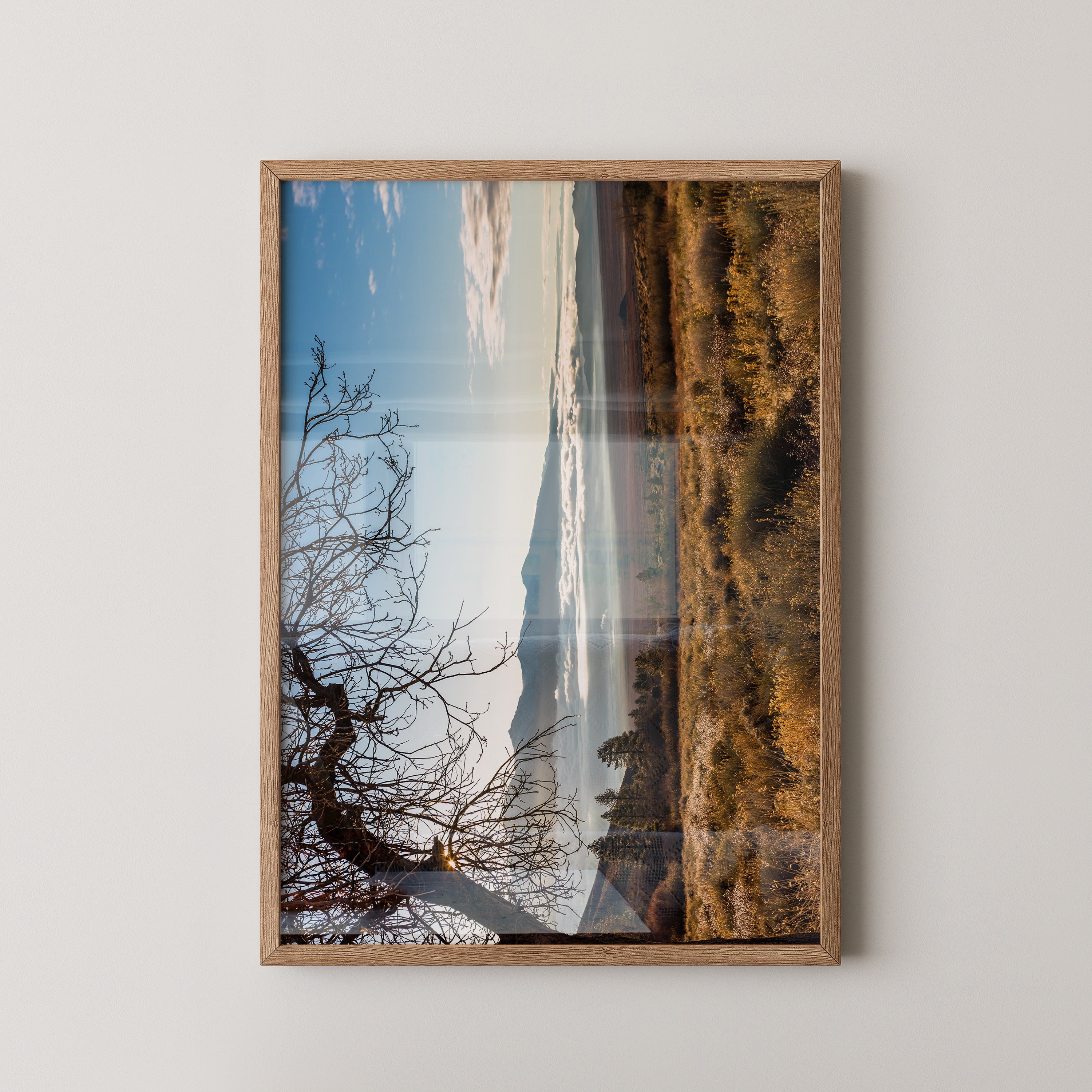 Winterbaum Berglandschaft Goldlicht