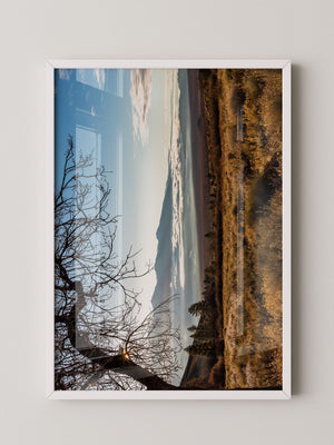 Winterbaum Berglandschaft Goldlicht