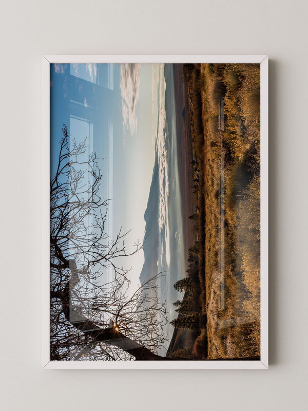 Winterbaum Berglandschaft Goldlicht
