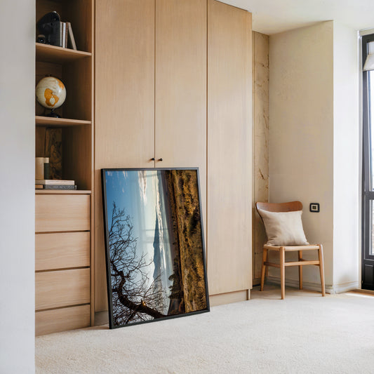 Winterbaum Berglandschaft Goldlicht