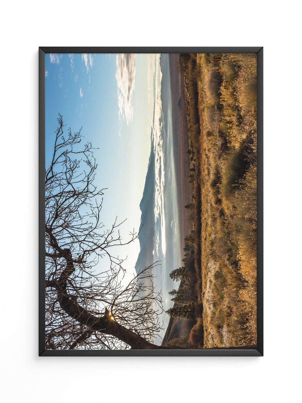 Winterbaum Berglandschaft Goldlicht