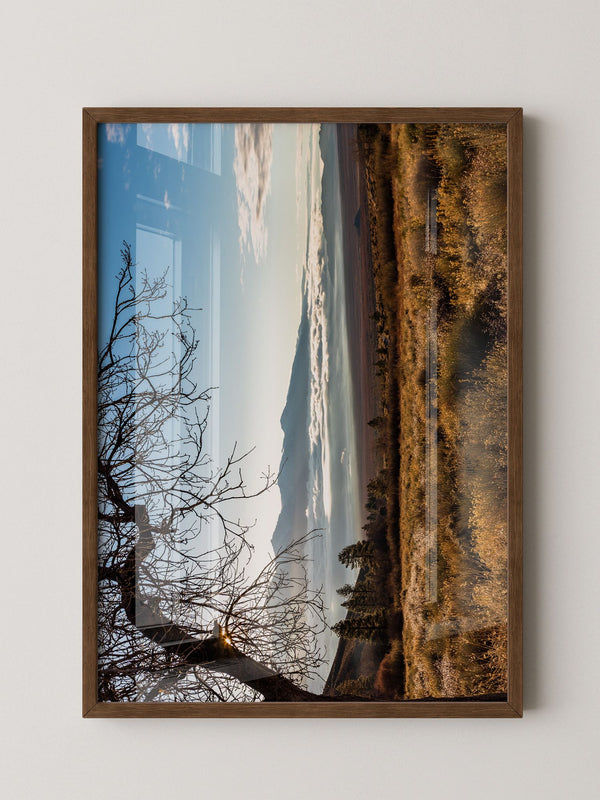 Winterbaum Berglandschaft Goldlicht