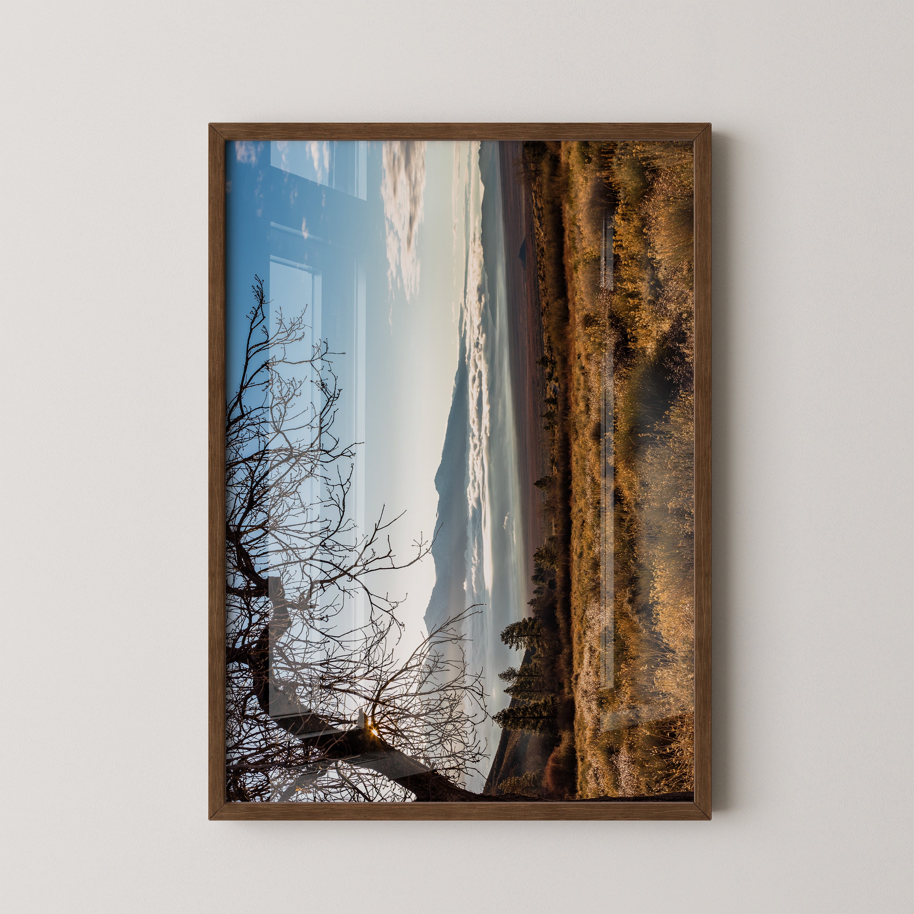 Winterbaum Berglandschaft Goldlicht