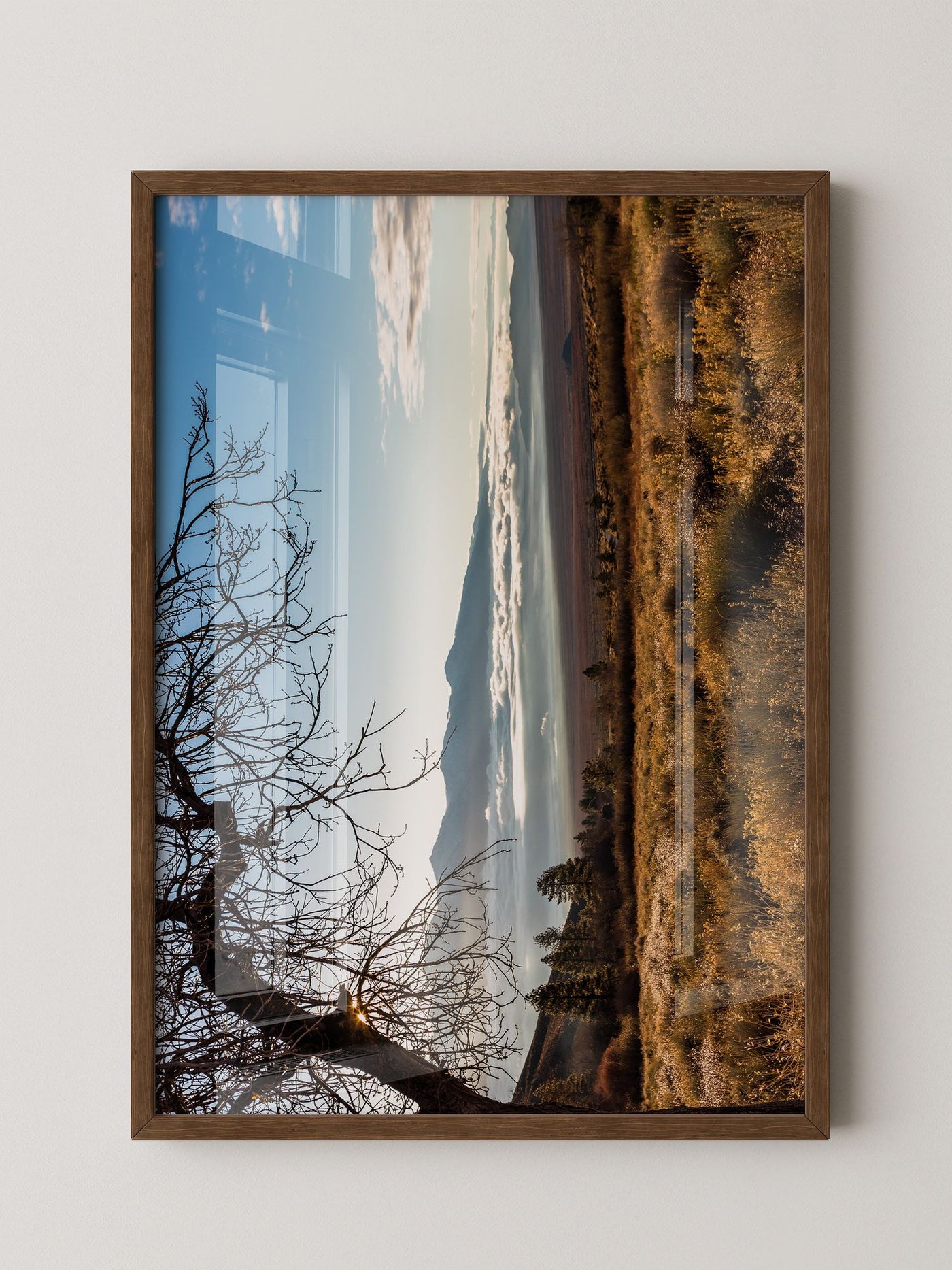 Winterbaum Berglandschaft Goldlicht