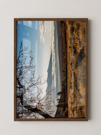 Winterbaum Berglandschaft Goldlicht