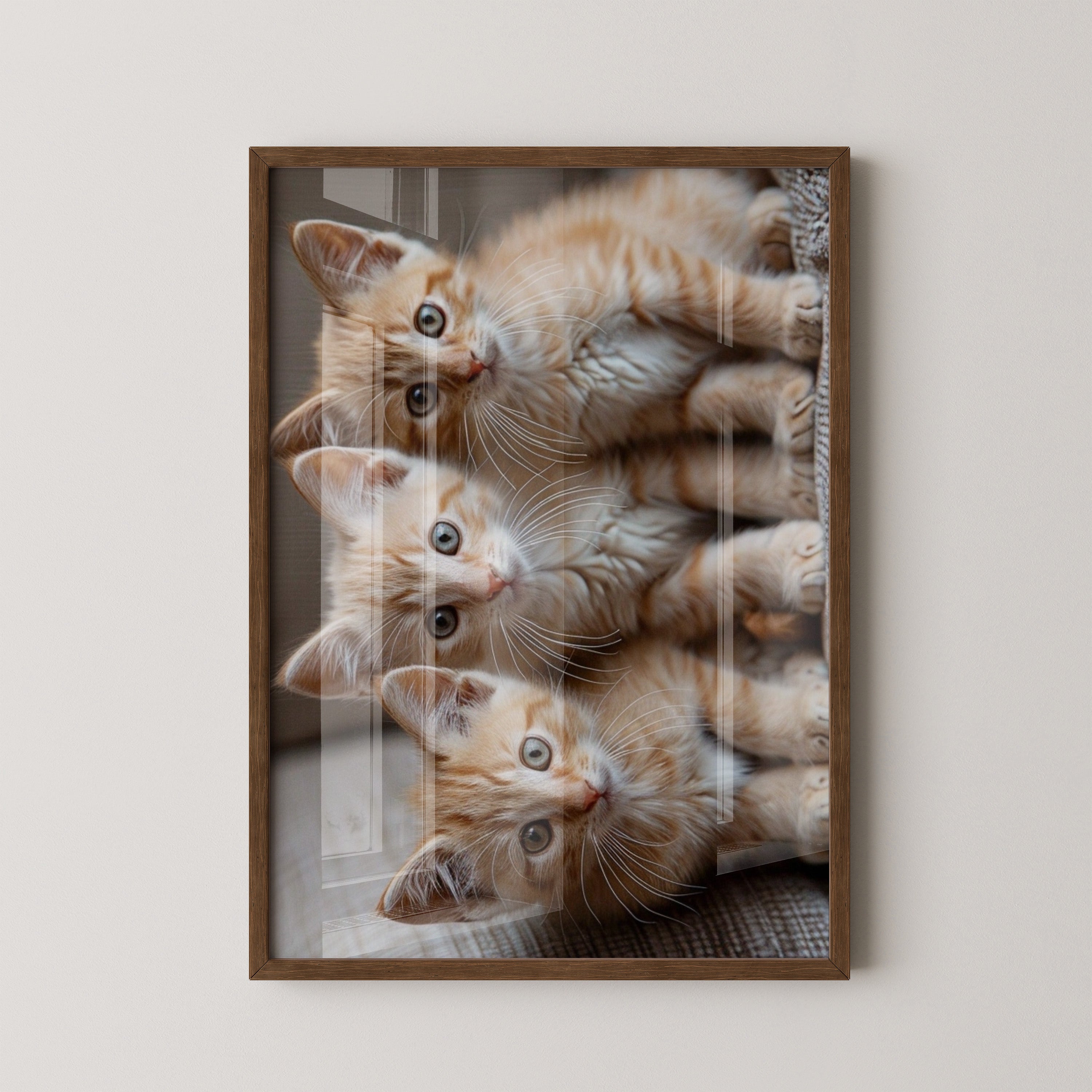 Drei Kätzchen Nahaufnahme