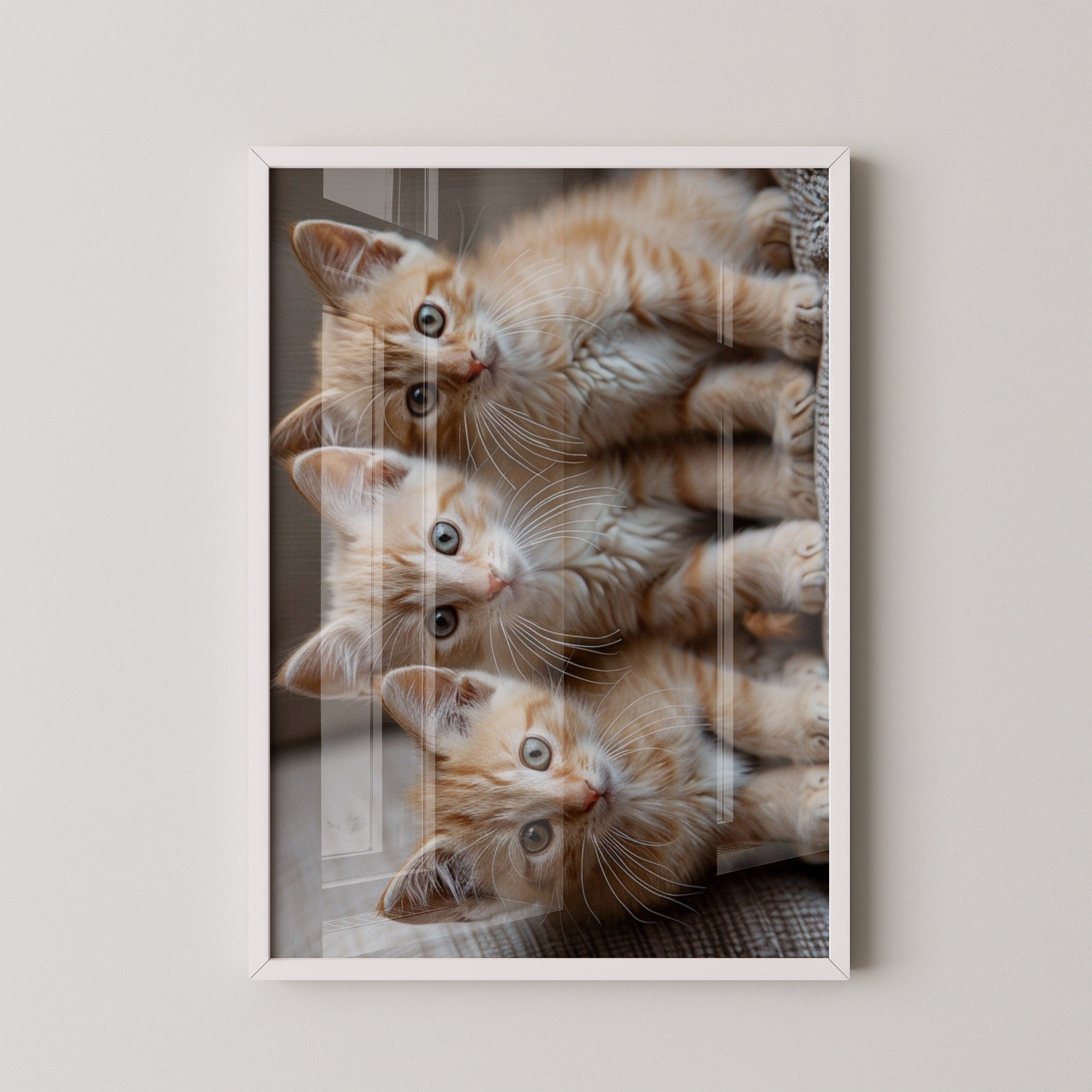 Drei Kätzchen Nahaufnahme