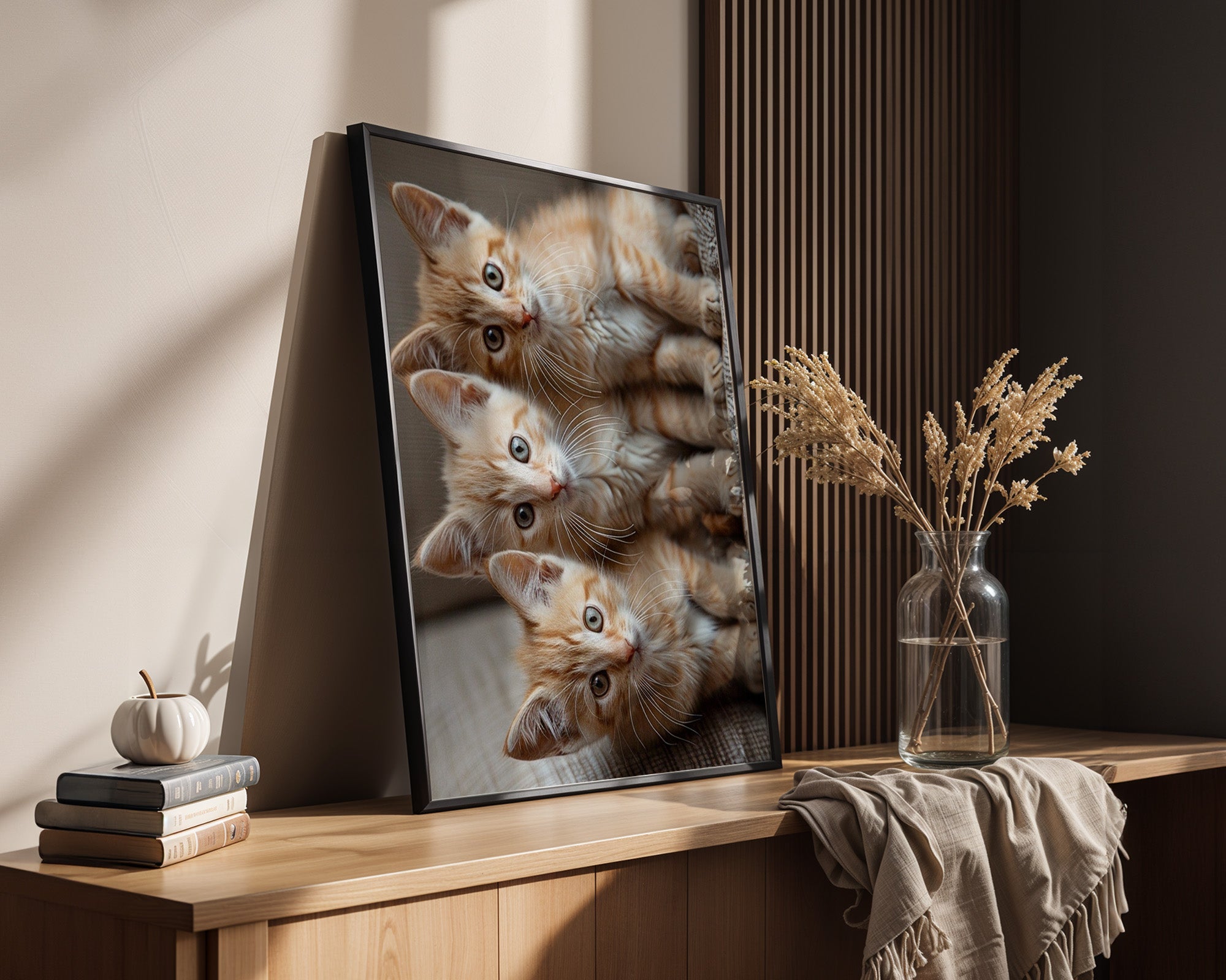 Drei Kätzchen Nahaufnahme