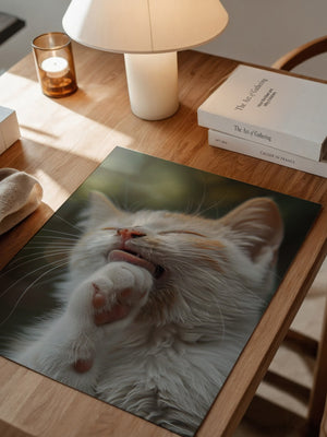 Katze Nahaufnahme Reinigung