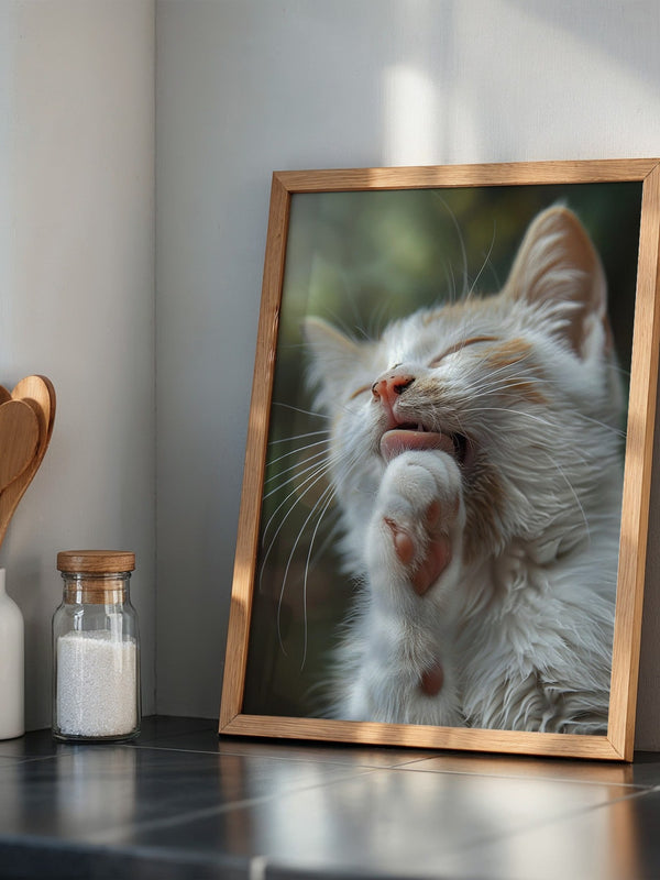 Katze Nahaufnahme Reinigung