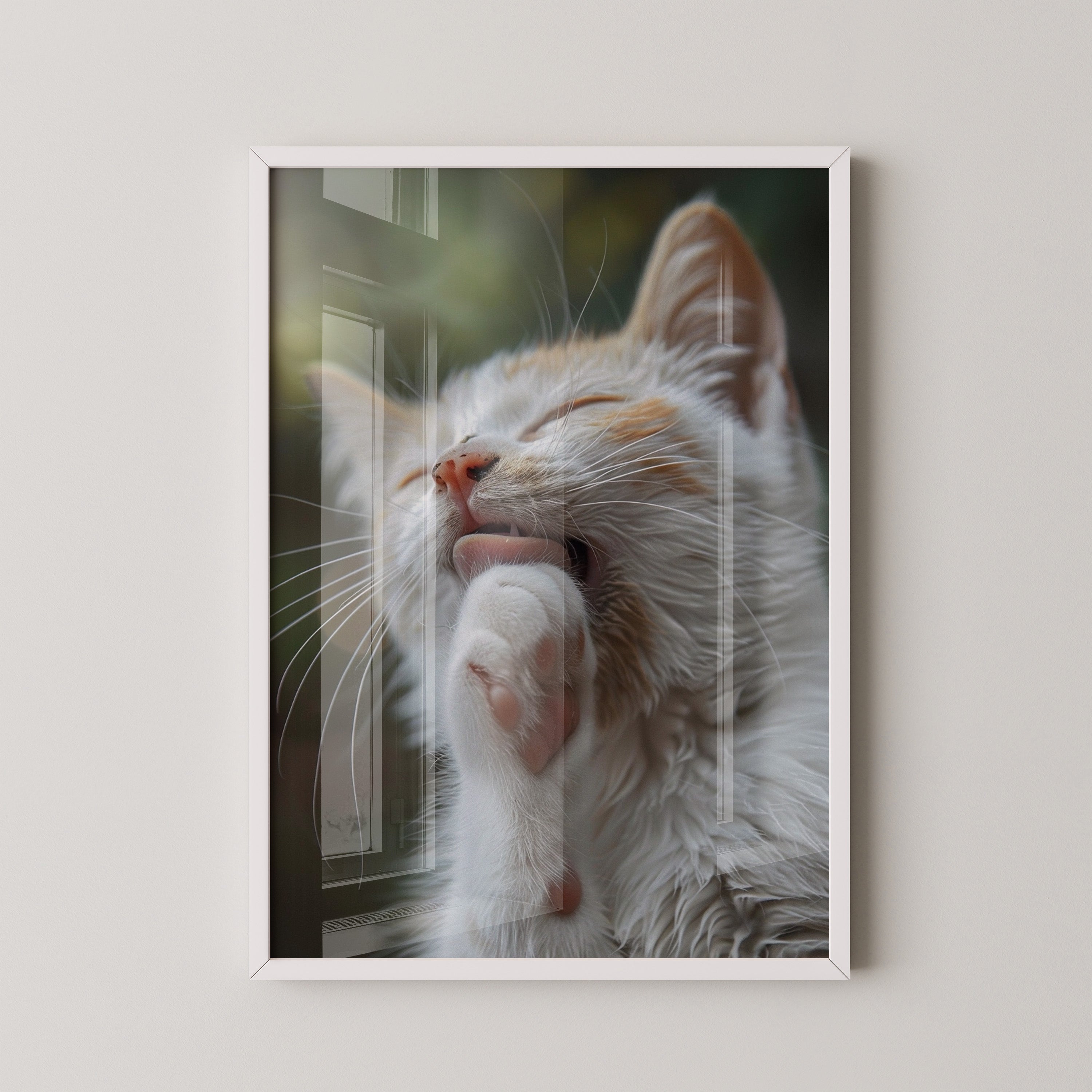 Katze Nahaufnahme Reinigung