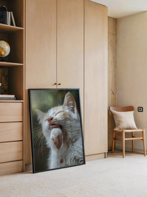 Katze Nahaufnahme Reinigung