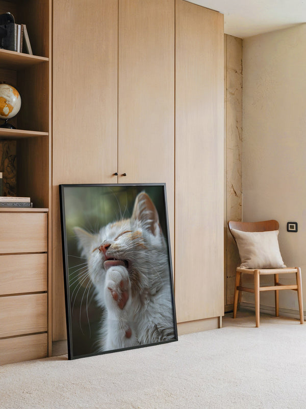 Katze Nahaufnahme Reinigung