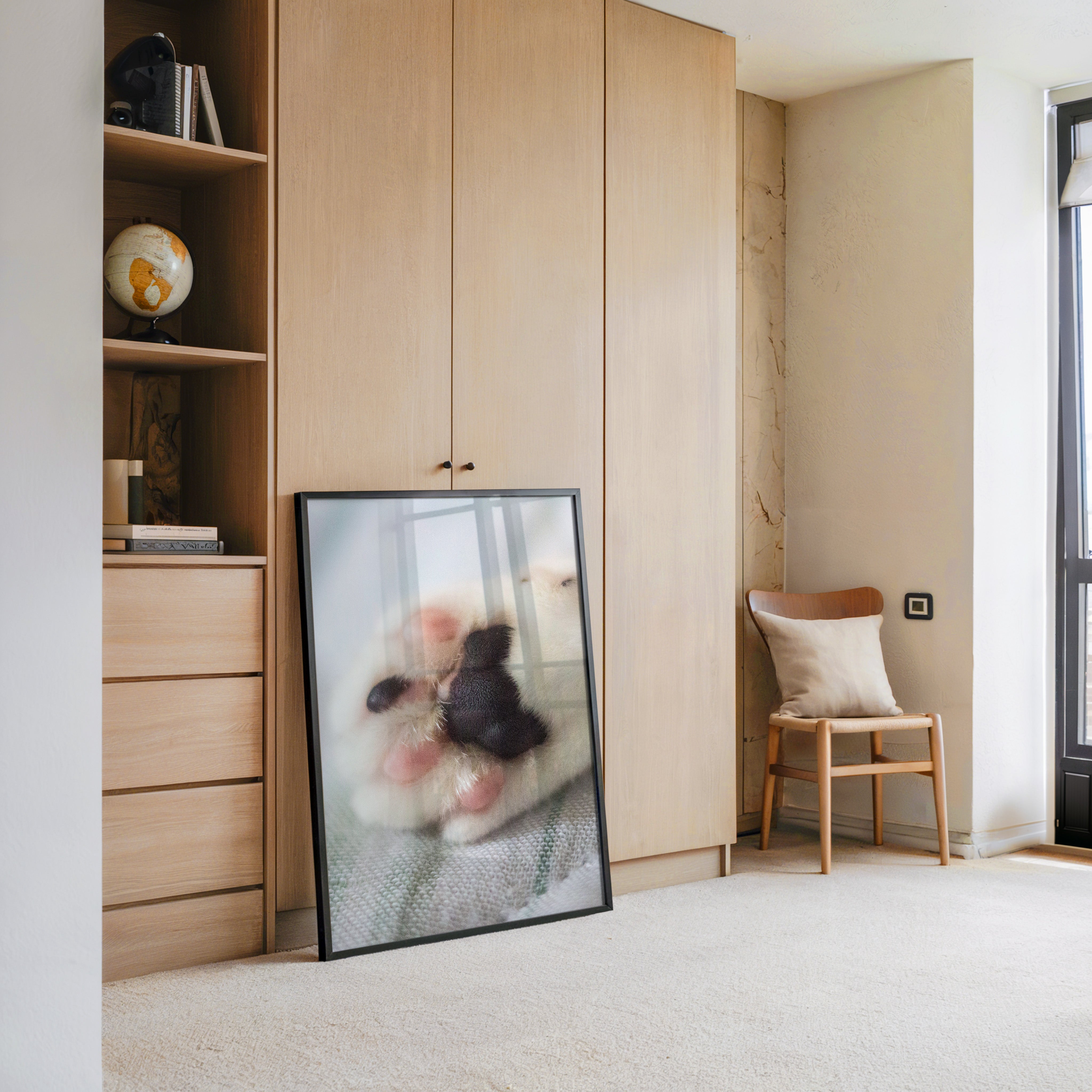 Hunde Pfote Nahaufnahme Pastell