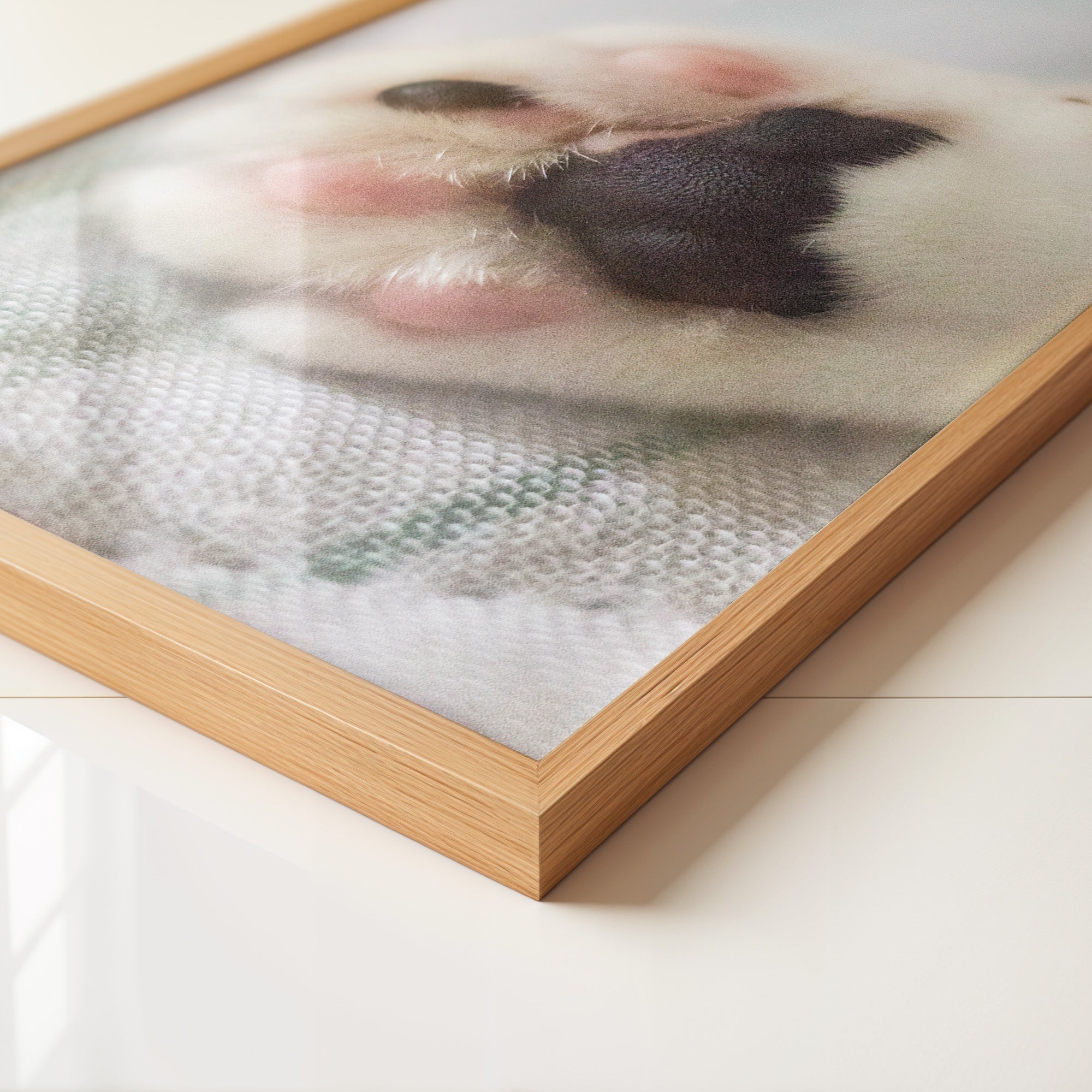 Hunde Pfote Nahaufnahme Pastell