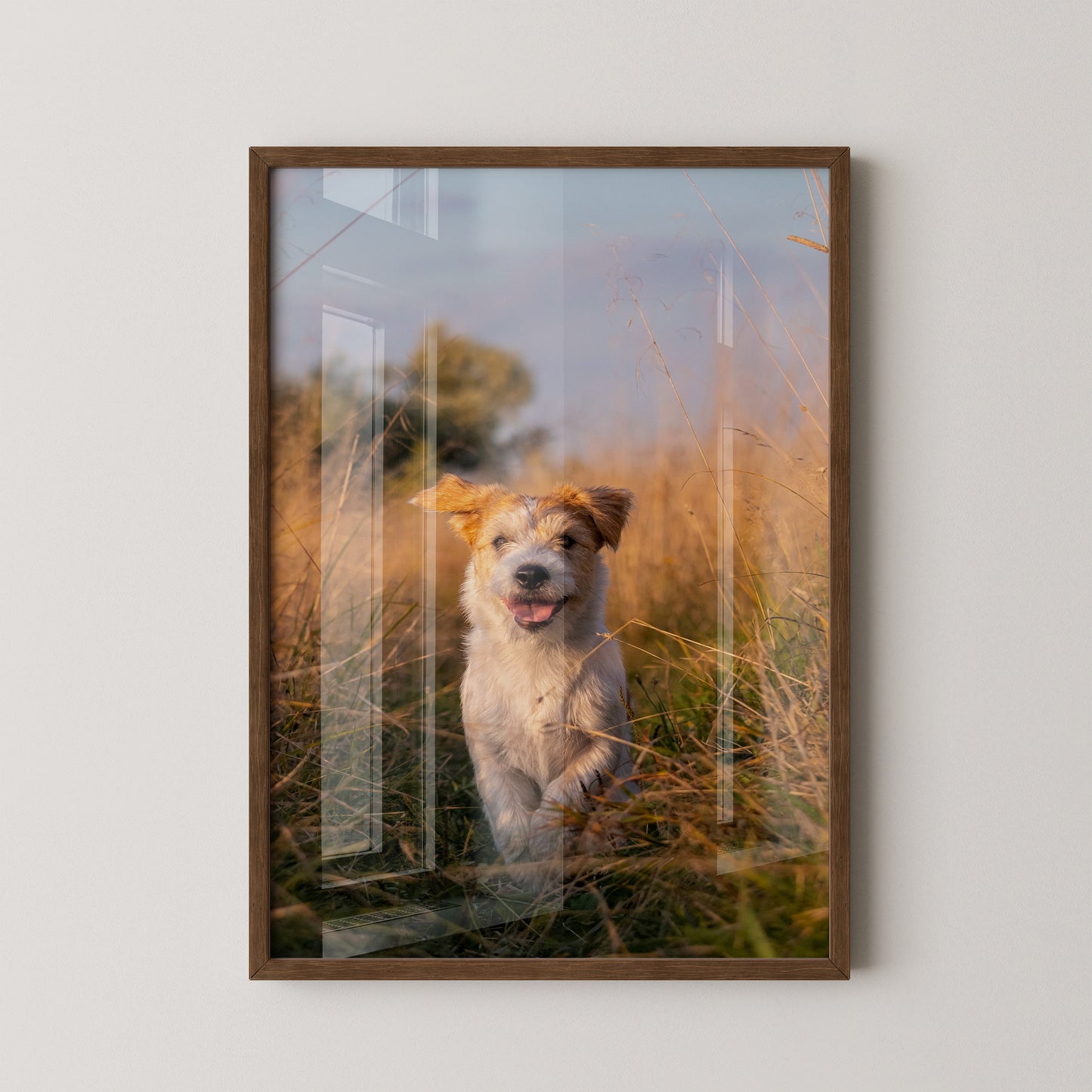 Hund im Sonnenschein Wiese
