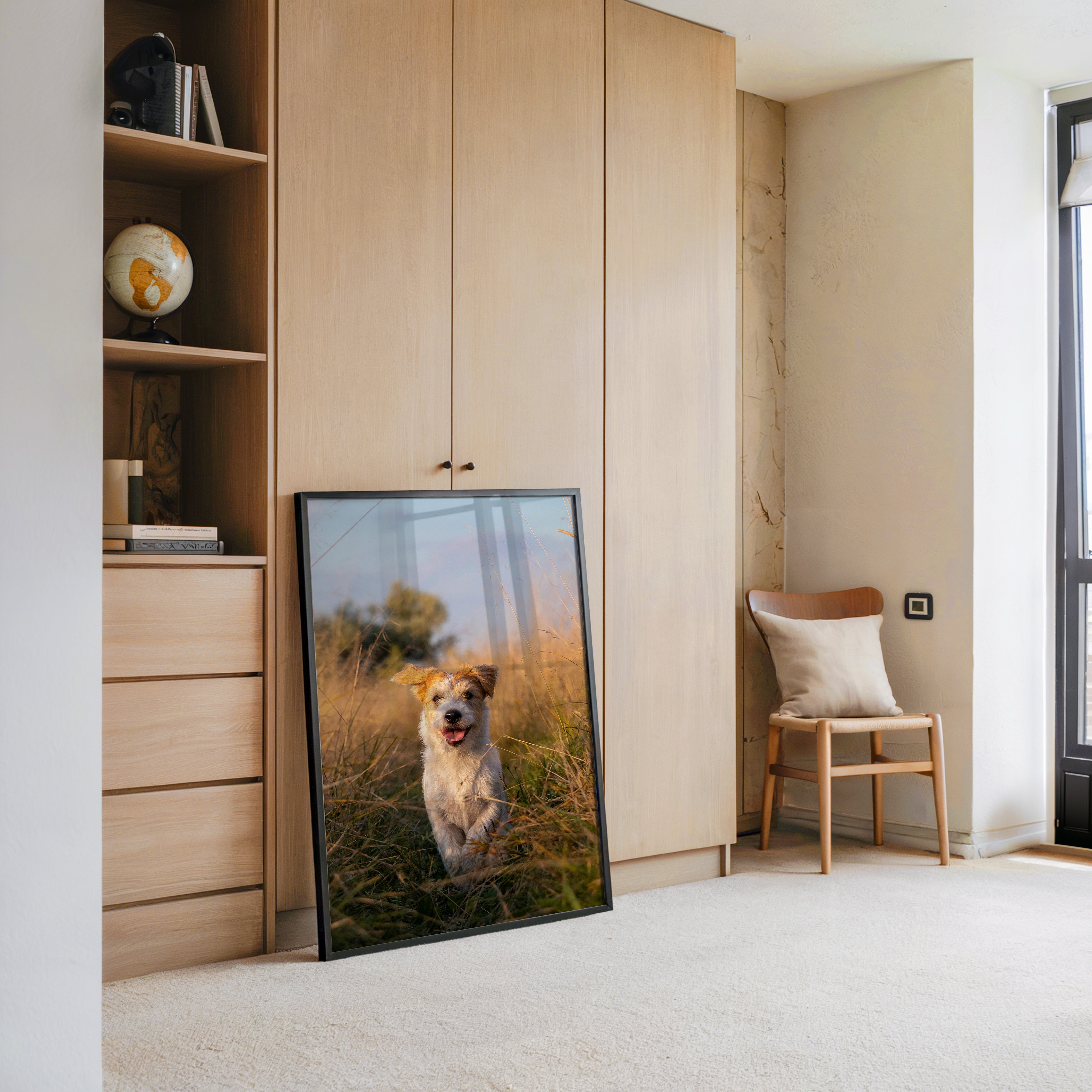 Hund im Sonnenschein Wiese