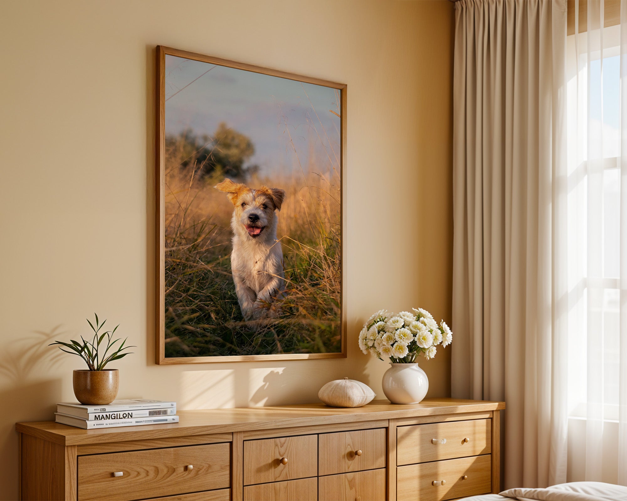 Hund im Sonnenschein Wiese