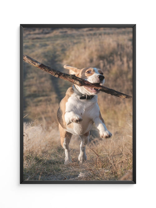 Hund mit Stock lebendig