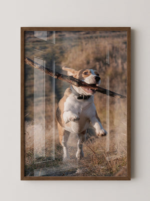 Hund mit Stock lebendig