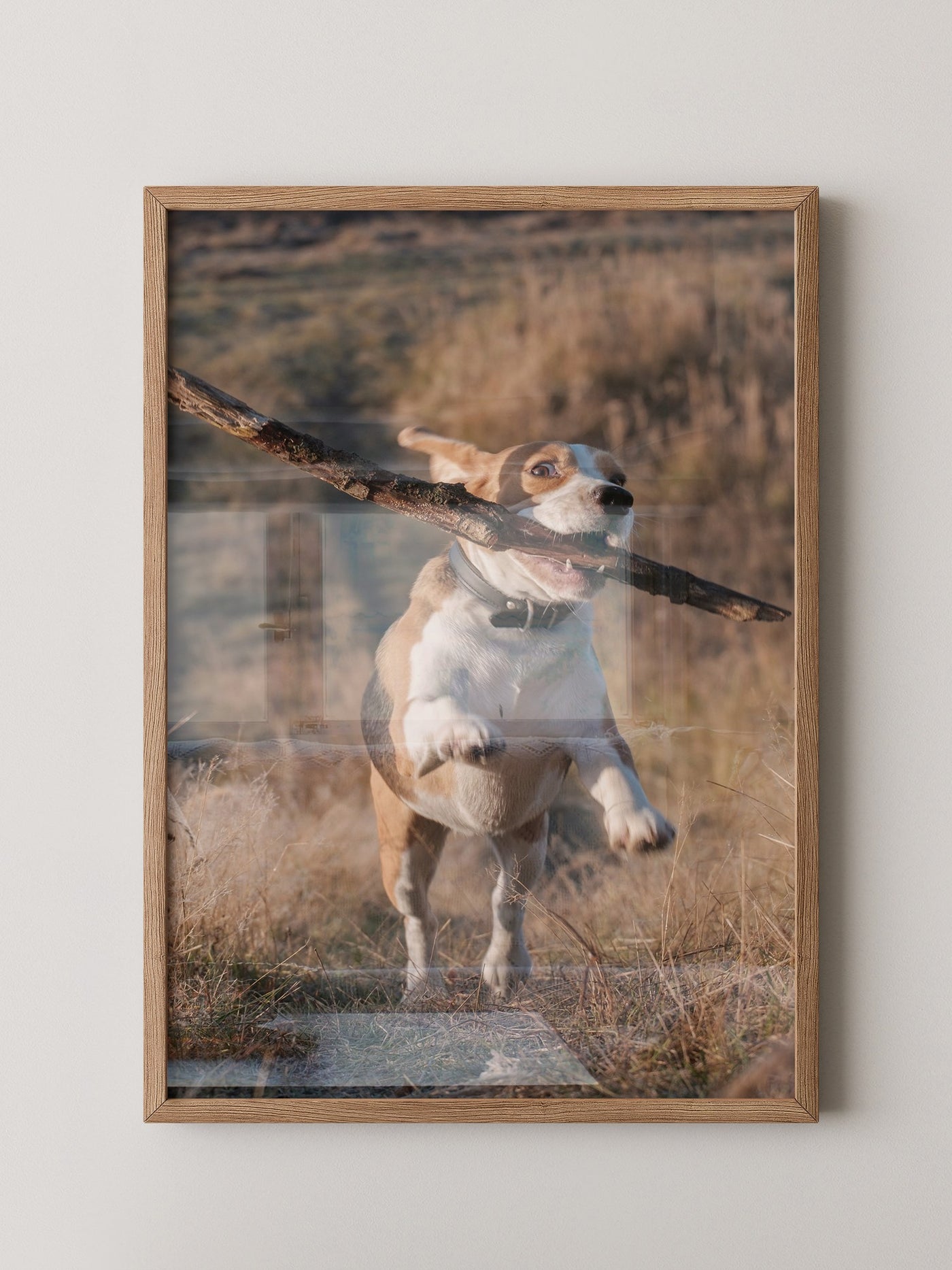 Hund mit Stock lebendig