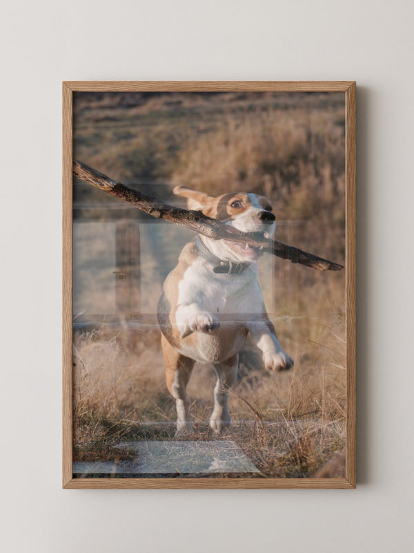 Hund mit Stock lebendig