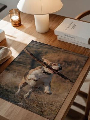 Hund mit Stock lebendig