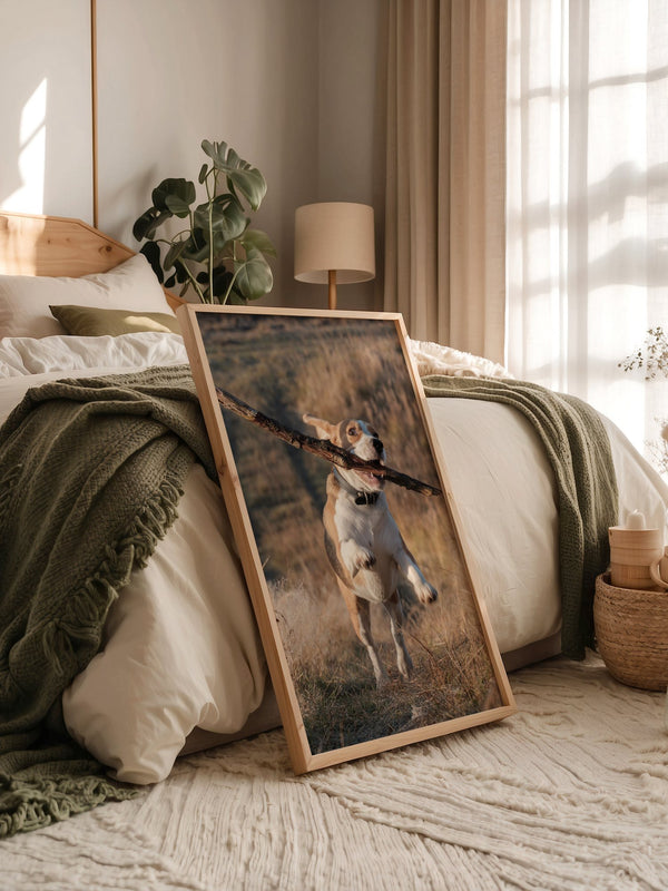 Hund mit Stock lebendig