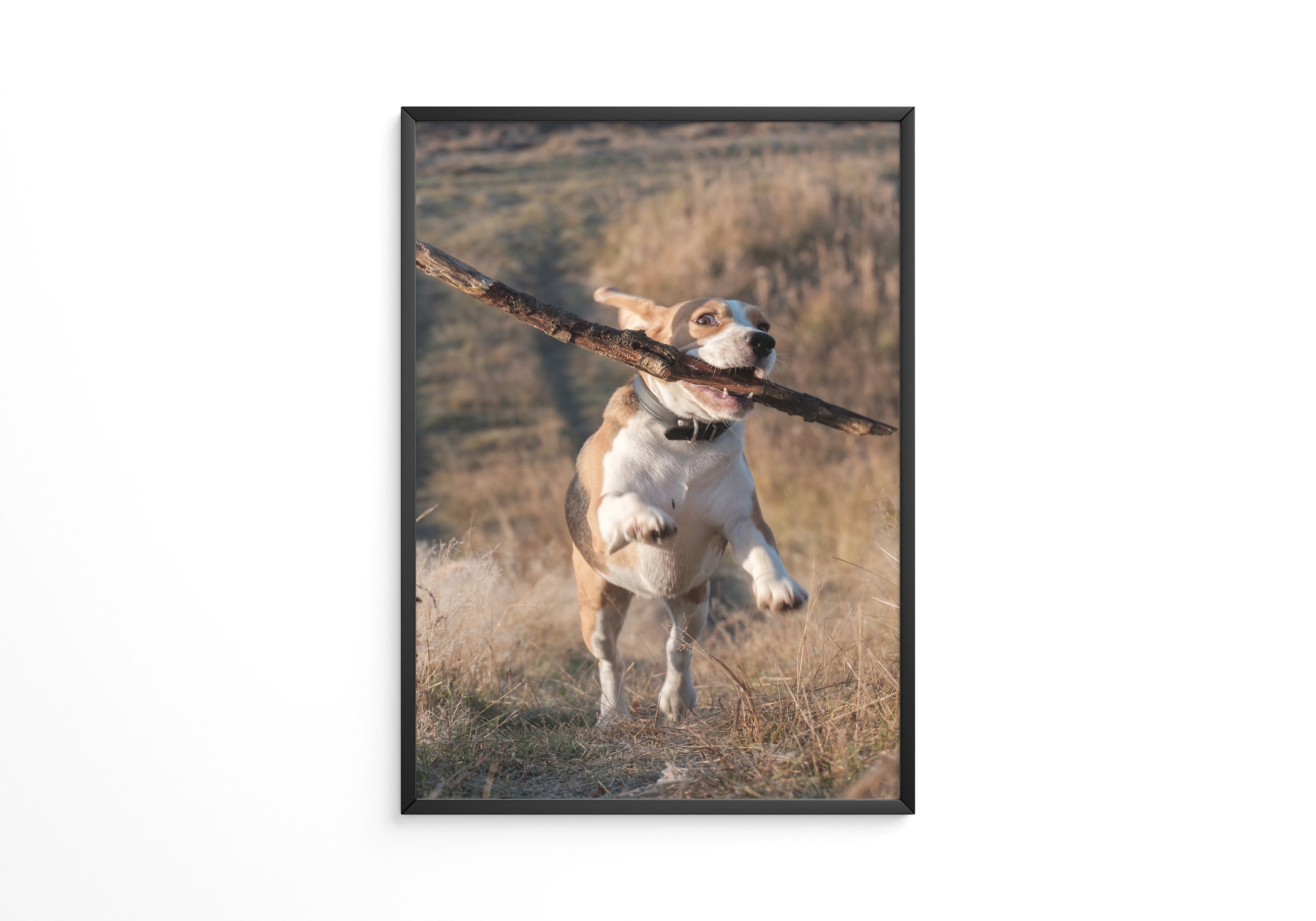 Hund mit Stock lebendig