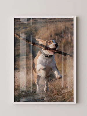 Hund mit Stock lebendig
