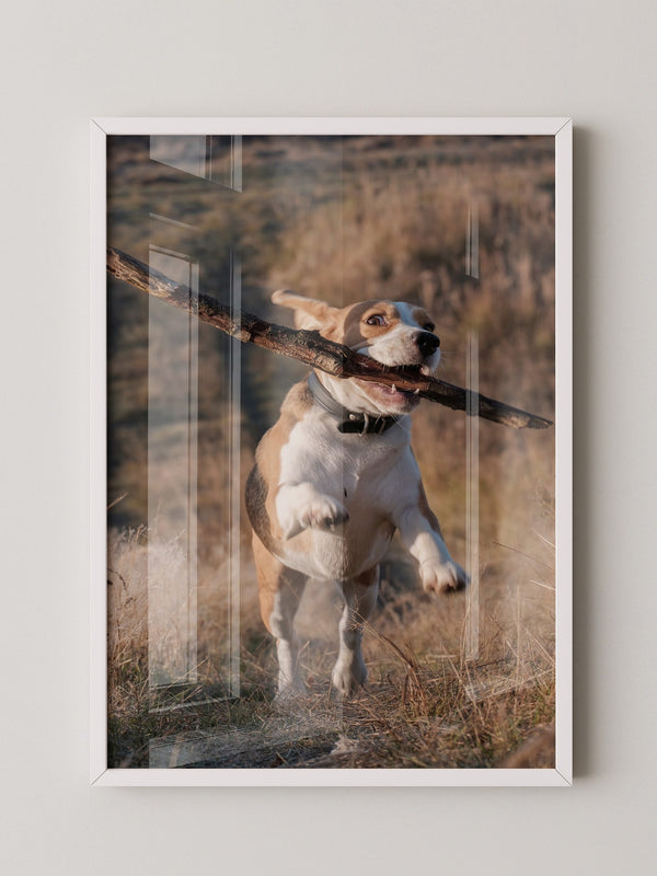 Hund mit Stock lebendig