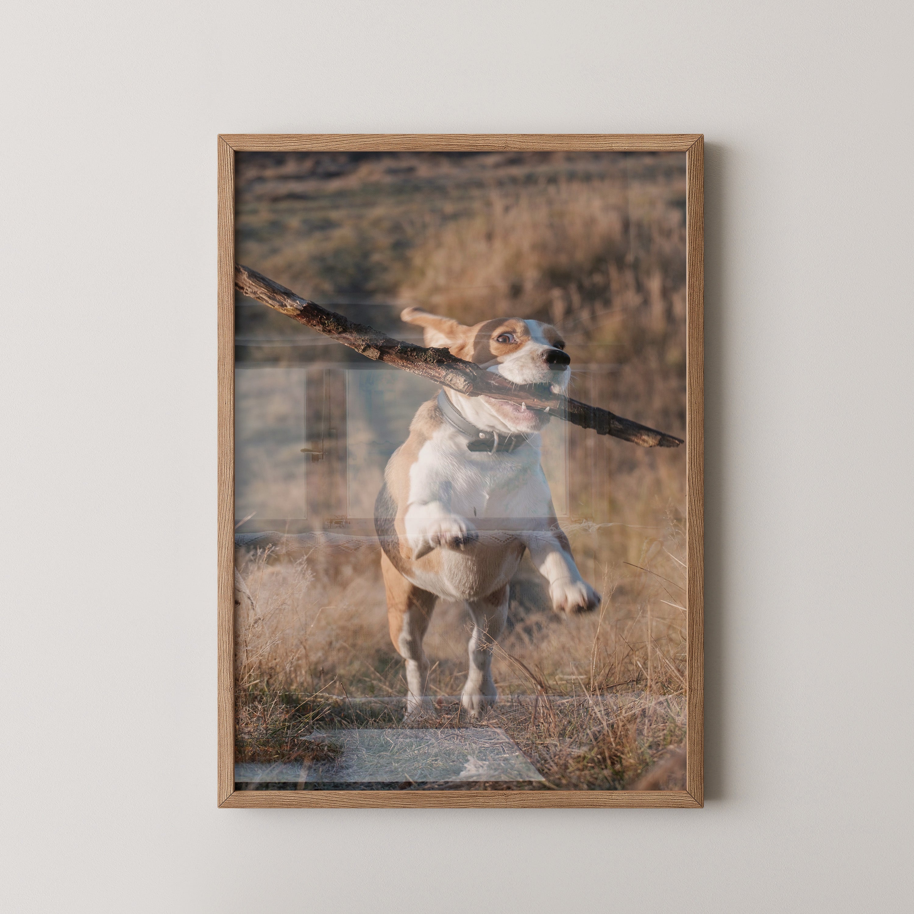 Hund mit Stock lebendig