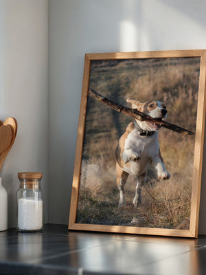 Hund mit Stock lebendig