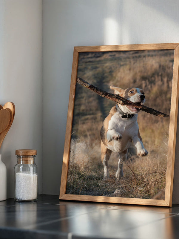 Hund mit Stock lebendig