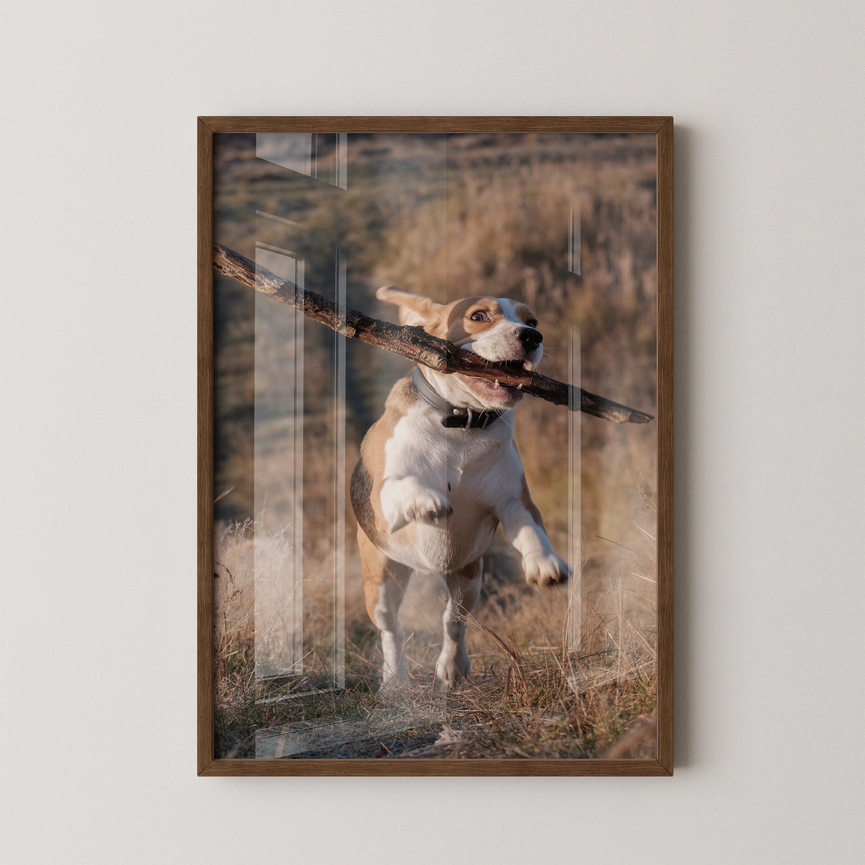 Hund mit Stock lebendig