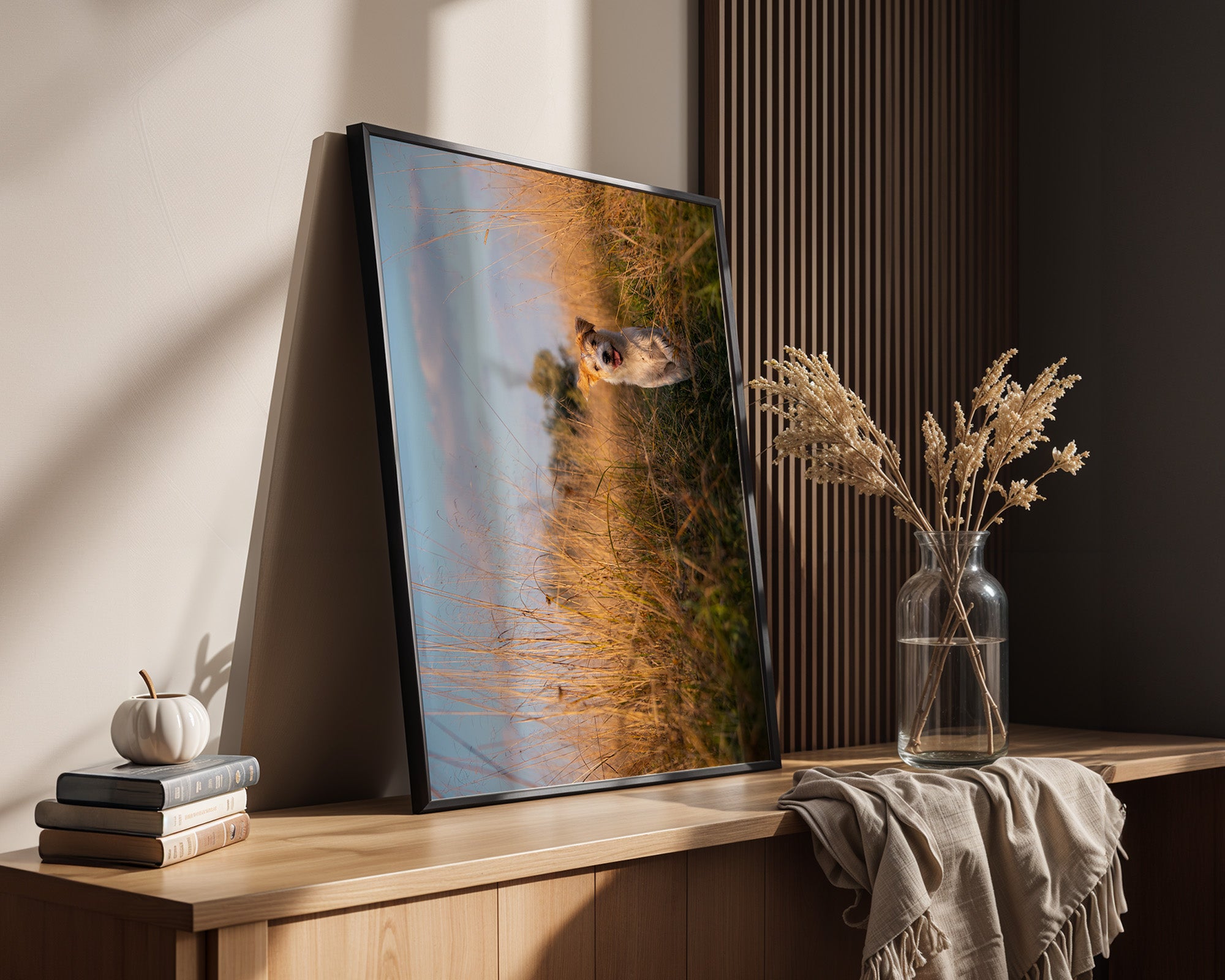 Hund im hohen Gras Sonnenuntergang