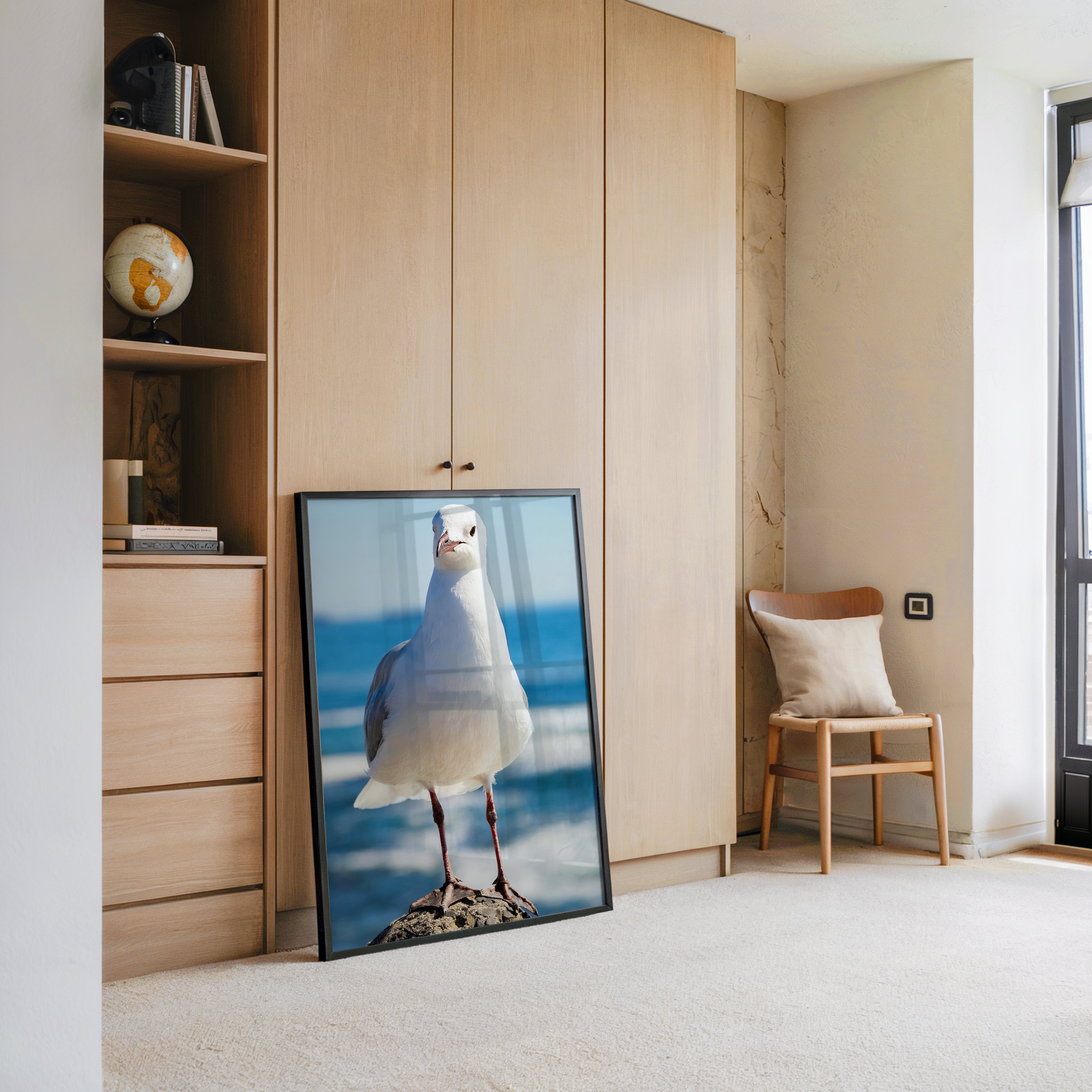 Möwe Küste Nahaufnahme