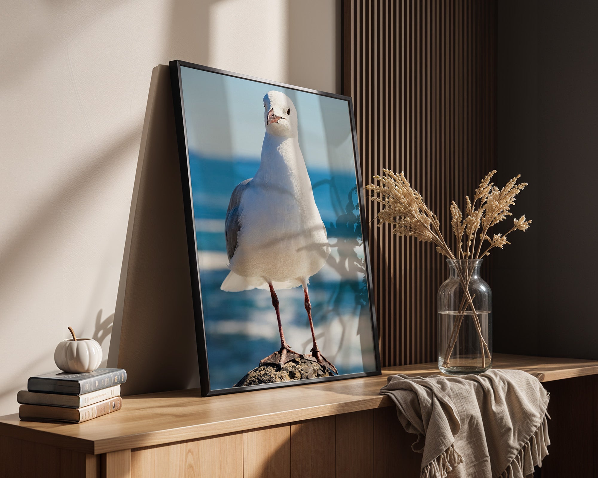 Möwe Küste Nahaufnahme