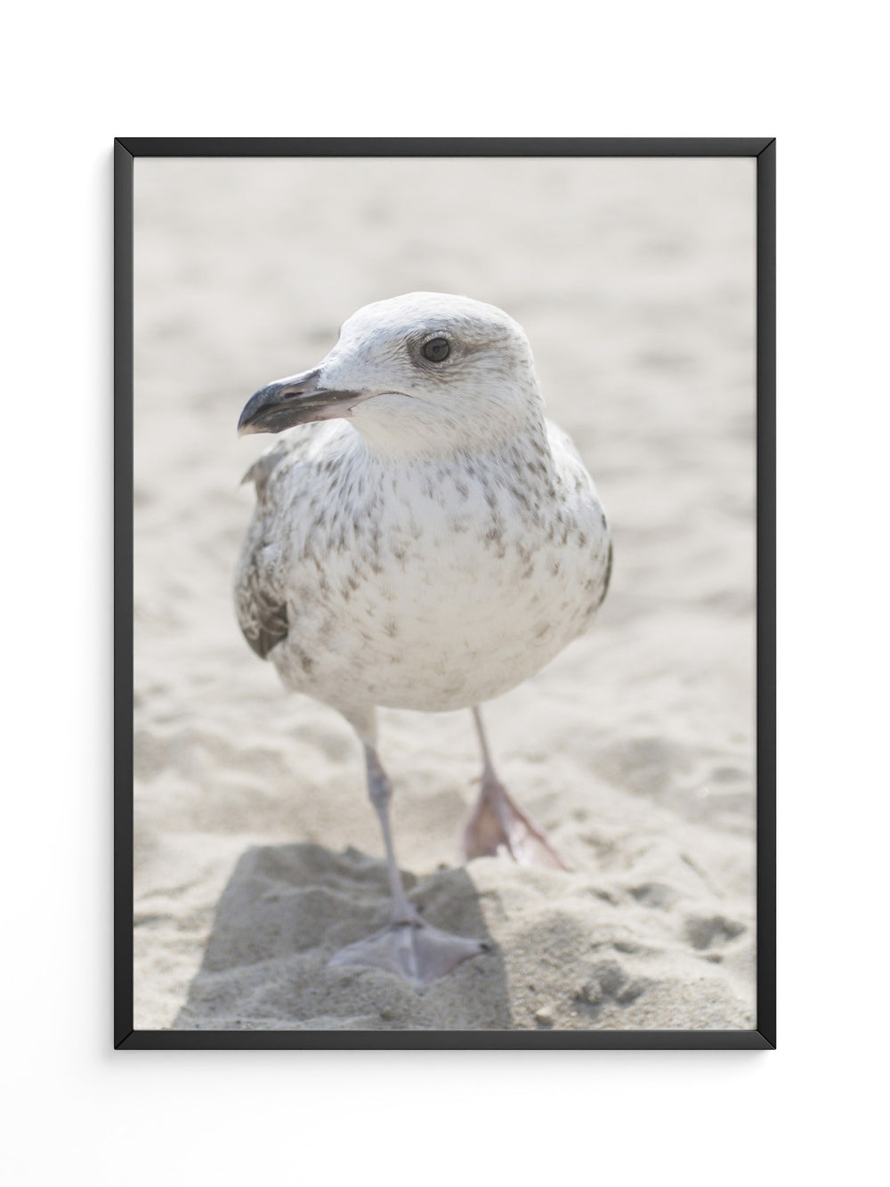 Möwe am Strand Naturfarbe